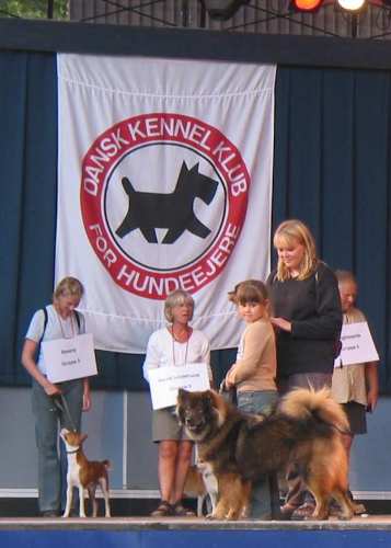 Belle 1 &aring;r og 5 m&aring;neder gammel til Tivoli 2002 hundeparade