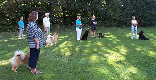 Eurasier tr&aelig;f Sj&aelig;lland 2002