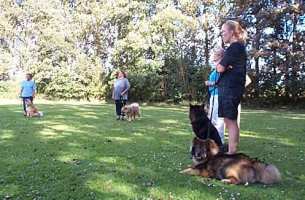 Eurasier tr&aelig;f Sj&aelig;lland 2002